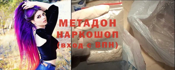 шишки Дмитриев