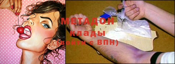 прущие грибы Баксан