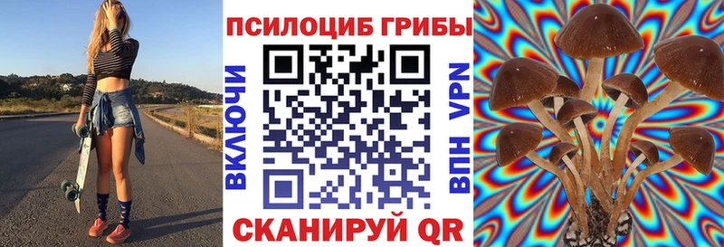 Галлюциногенные грибы Psilocybe  Кувандык 